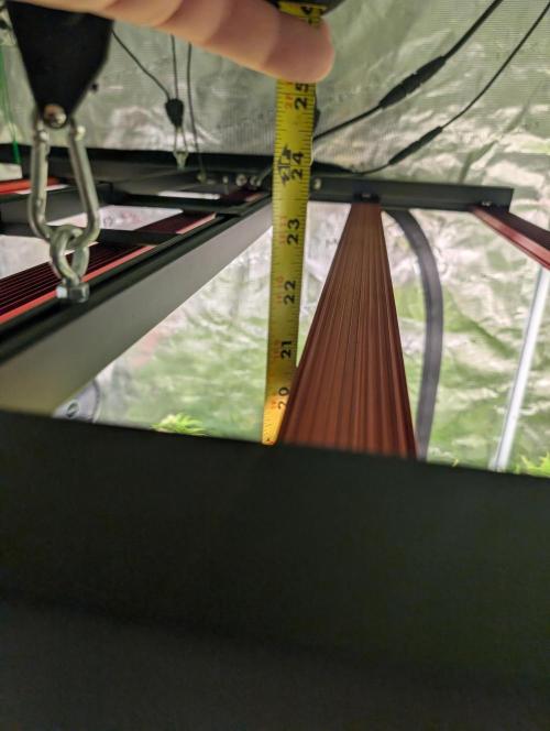 Dreaming in Colour. Week 6