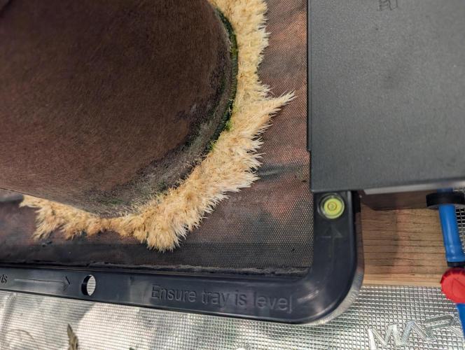 Caring for Angry Bears. Week 6