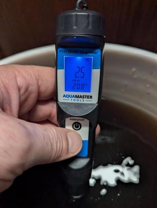 Caring for Angry Bears. Week 6