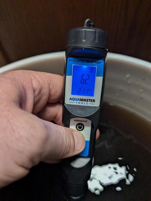 Caring for Angry Bears. Week 6