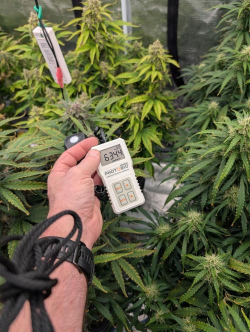 Slimer Round 3. Week 8