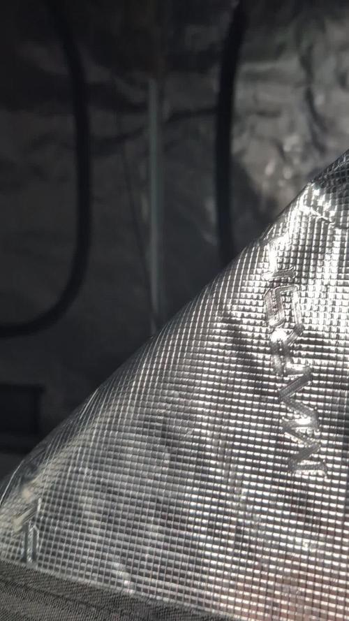 Caring for Angry Bears