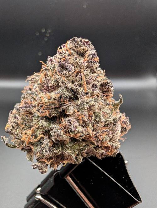 Slimer Round 3. Week 11