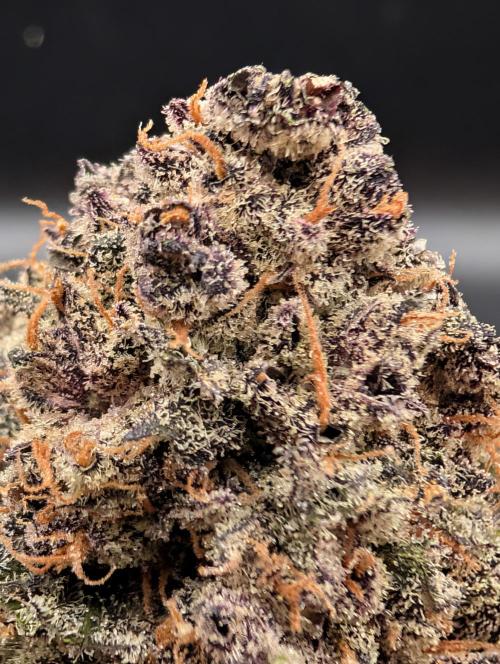 Slimer Round 3. Week 11