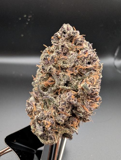 Slimer Round 3. Week 11