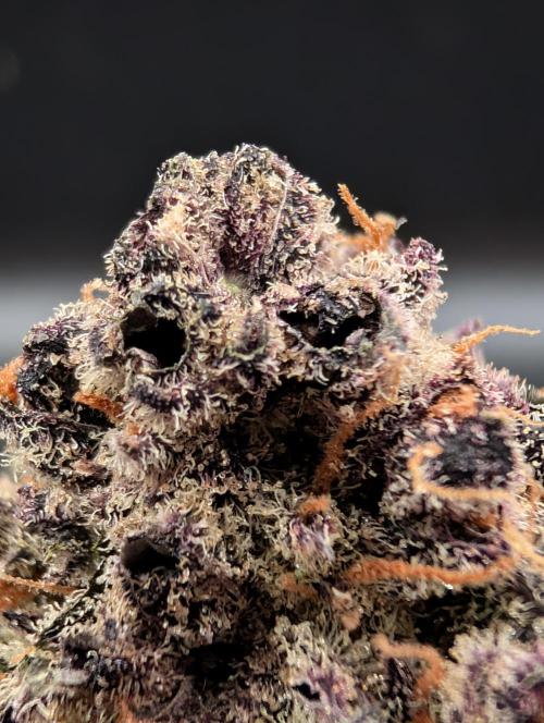 Slimer Round 3. Week 11