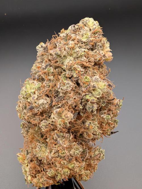 Dreaming in Colour. Week 11