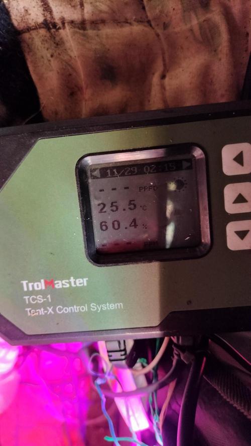 Fast Seeds Winter Season 2025. Week 4 - Temp/Humidity values - VPD rate