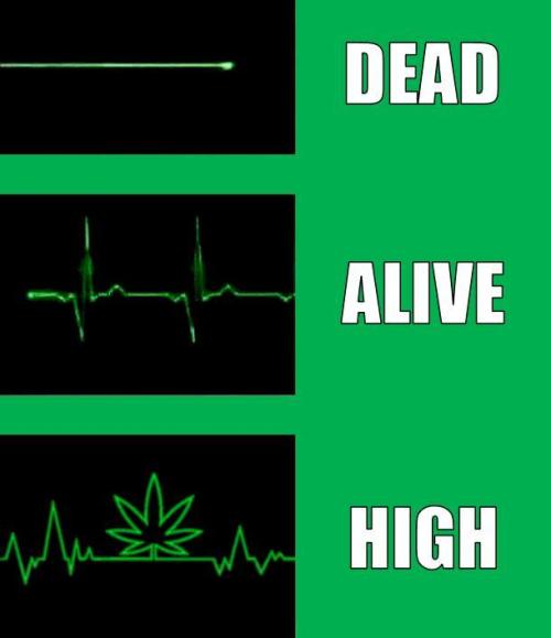 FB White Widow. Week 11 - meme contest