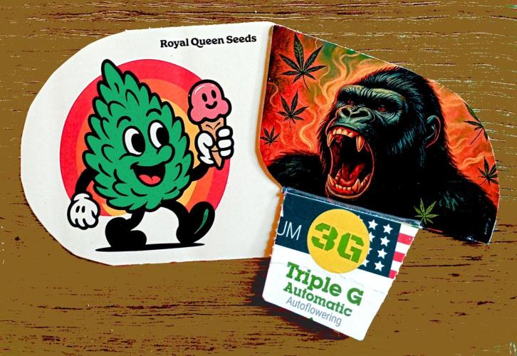 RQS Triple G. Week 0