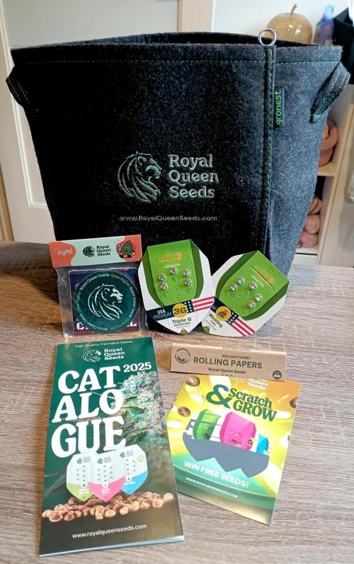 RQS Triple G. Week 0 - first day