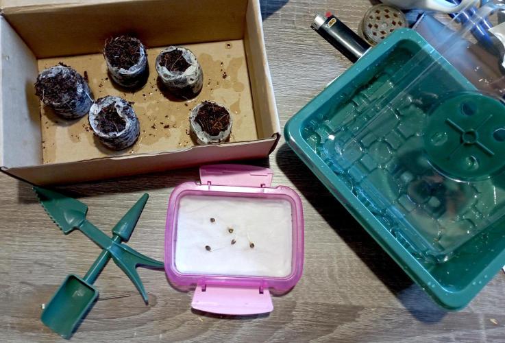 RQS Triple G. Week 0 - midweek