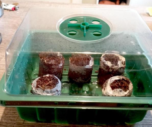 RQS Triple G. Week 0 - midweek