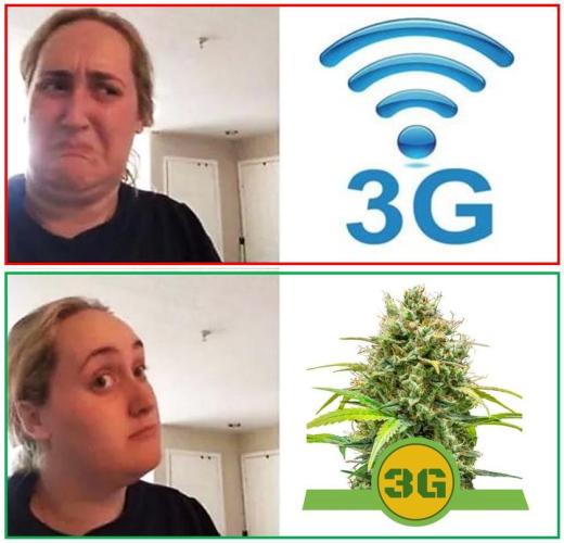 RQS Triple G. Week 0 - meme contest