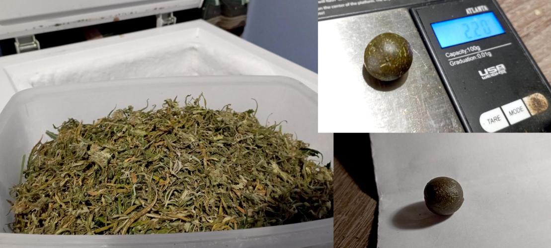 FB White Widow. Week 12