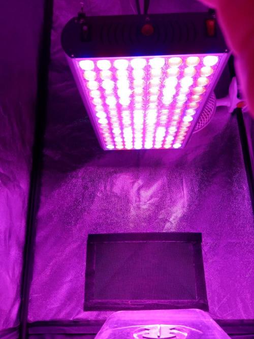 my GROWSTORY. Week 0 - upgrade