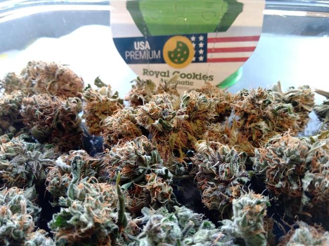 my GROWSTORY. Week 1 - Royal Cookies