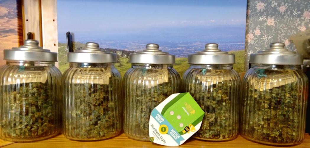 my GROWSTORY. Week 2 - NL RQS