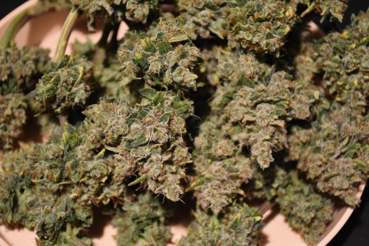 my GROWSTORY. Week 3 - FB Gorilla Punch