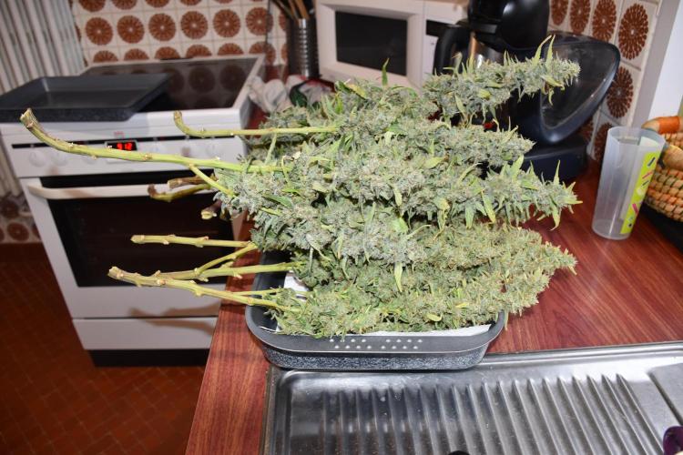 my GROWSTORY. Week 4 - FB Strawberry Banana