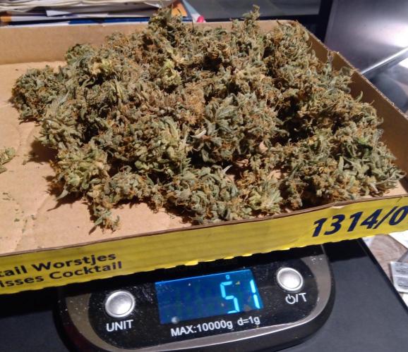 my GROWSTORY. Week 4 - RQS Royal AK