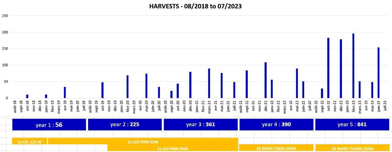 my GROWSTORY. Week 5 - 5years results