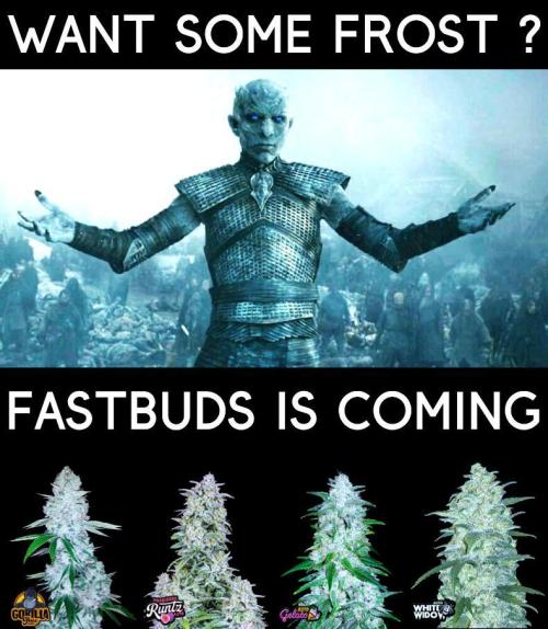 my GROWSTORY. Week 3 - MOTW