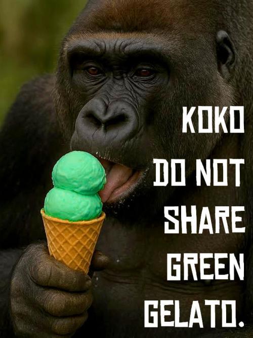 RQS Triple G. Week 3 - meme contest