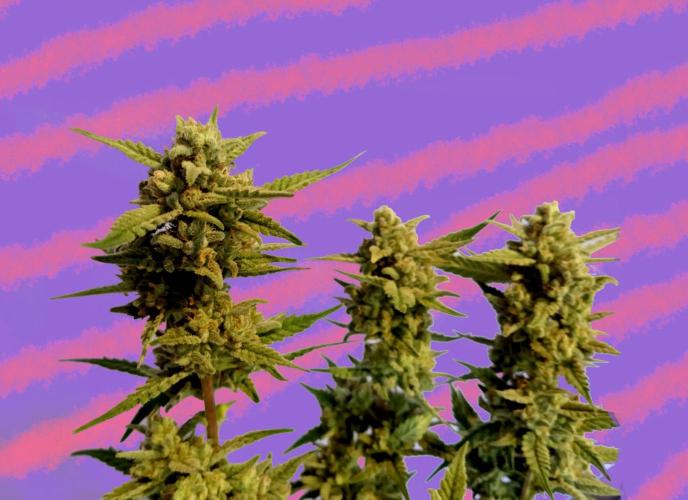 GF Strawberry Cake. Week 10