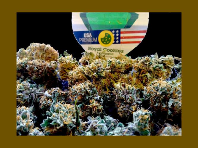 RQS Royal Cookies. Week 12