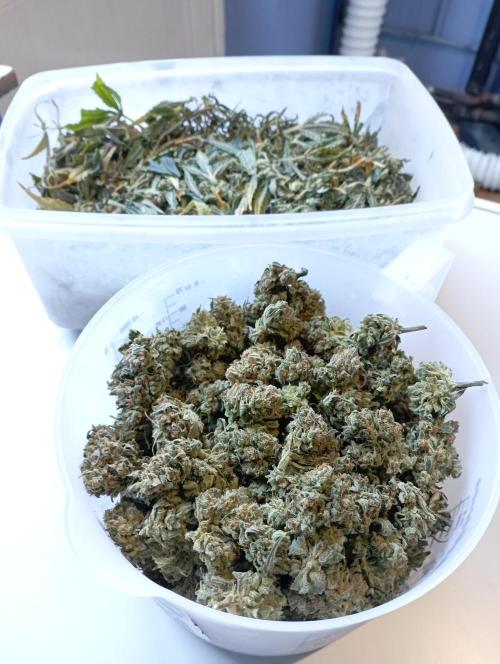 my GROWSTORY. Week 6 - bubble hash