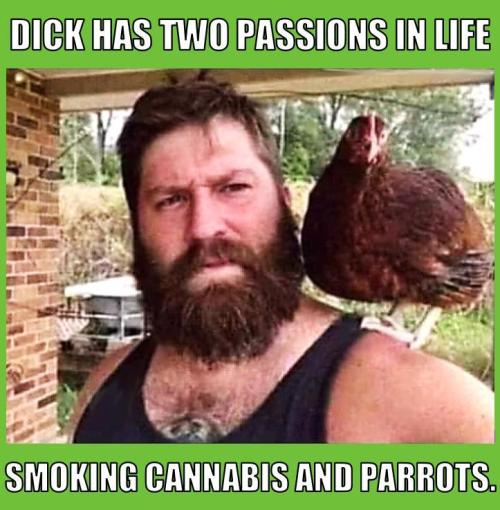 RQS Triple G. Week 7 - meme contest