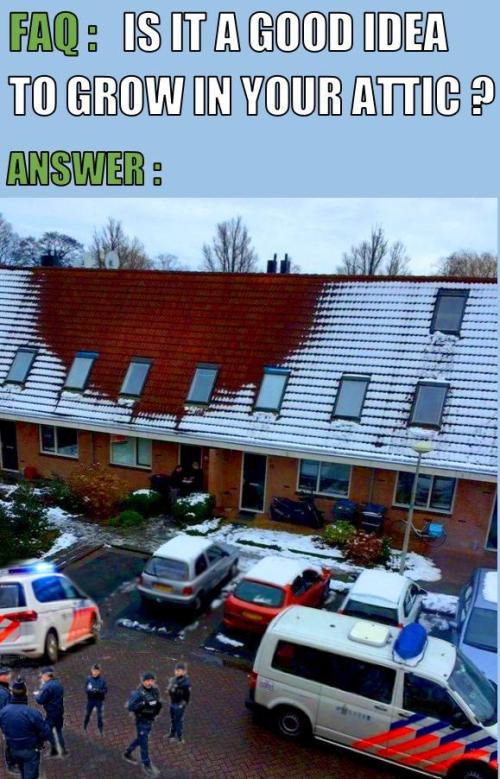 RQS Triple G. Week 8 - meme contest