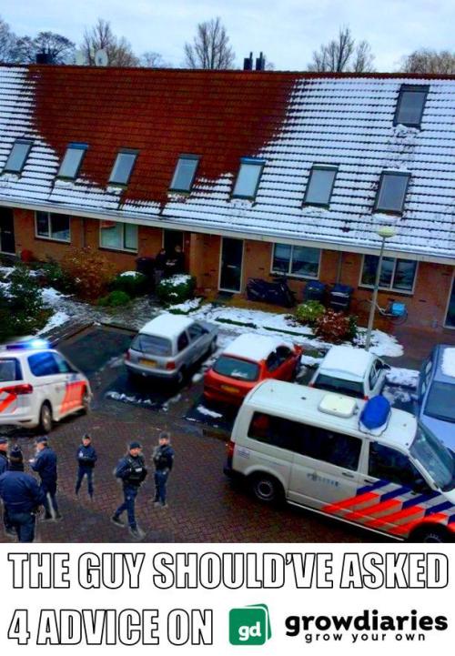 RQS Triple G. Week 8 - meme contest