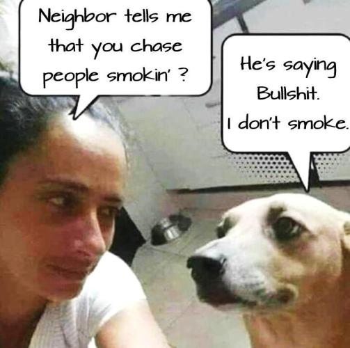 RQS Triple G. Week 11 - meme contest