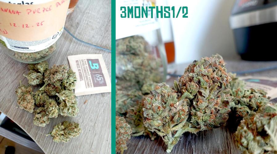 FB Banana Purple Punch. Week 12 - after 3m curing