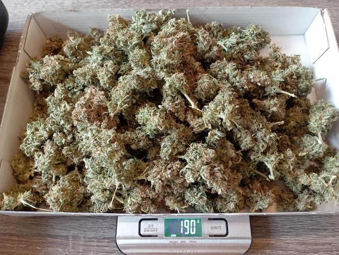 RQS Triple G. Week 17 - 4th