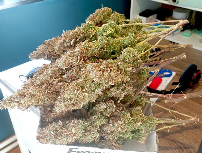 RQS Triple G. Week 17 - 5th