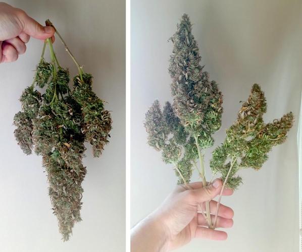 RQS Triple G. Week 17 - 5th
