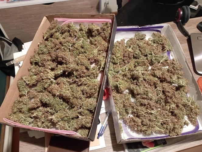 RQS Triple G. Week 17 - 5th
