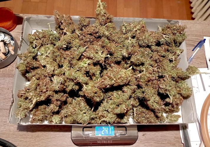 RQS Triple G. Week 17 - 5th