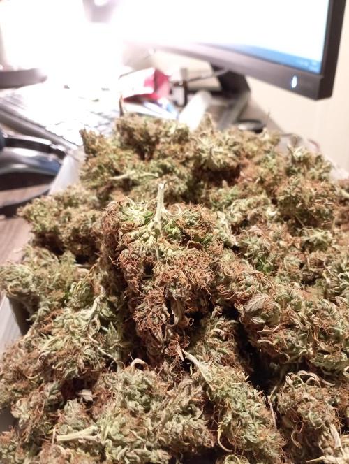 RQS Triple G. Week 17 - 5th