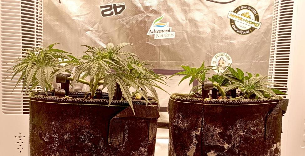 FB West Coast OG. Week 6 - midweek