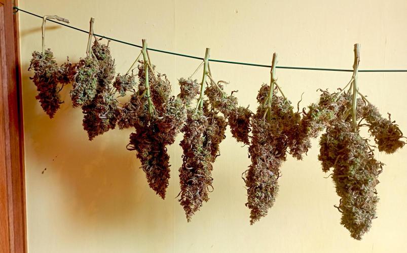 FB West Coast OG. Week 14 - D Day