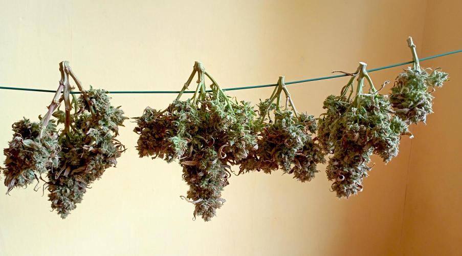 FB West Coast OG. Week 14 - D Day