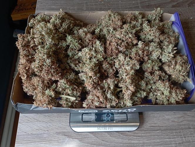 FB West Coast OG. Week 14 - final results