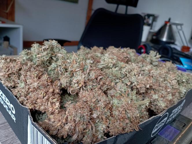 FB West Coast OG. Week 14 - final results