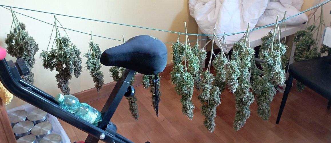 FB Apple Strudel. Week 14