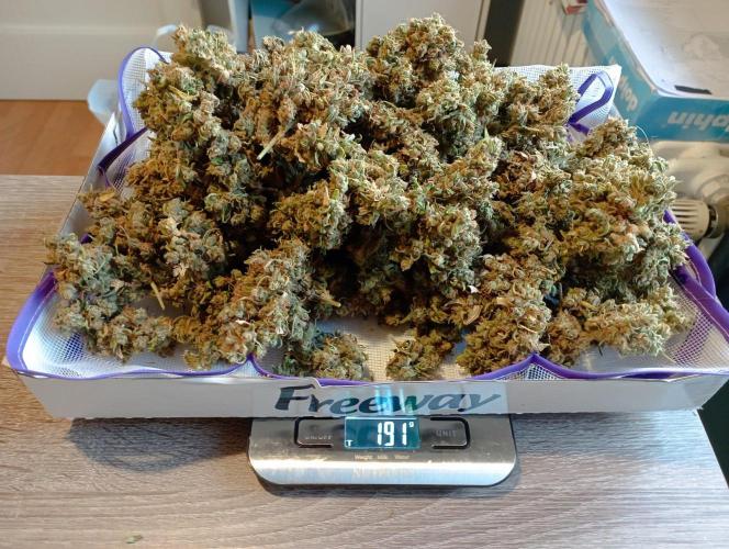 FB Apple Strudel. Week 14