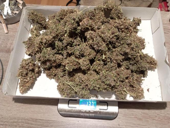FB Apple Strudel. Week 14